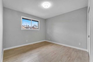 Photo 16: 135 Pinecliff Close NE in Calgary: Pineridge Semi Detached (Half Duplex) for sale : MLS®# A2128622