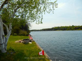 Photo 22: 934 County 38 Road in Trent Hills: Campbellford House (Bungalow) for sale : MLS®# X6000152