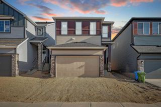 Main Photo: 63 Amblehurst Link NW in Calgary: Evanston Detached for sale : MLS®# A2139206