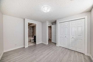 Photo 20: 2465 Sagewood Crescent SW: Airdrie Detached for sale : MLS®# A2125738