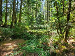 Photo 3: LOT A B & C Glinz Lake Rd in Sooke: Sk 17 Mile Land for sale : MLS®# 950717