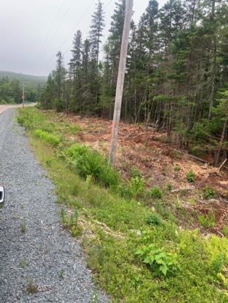 Photo 13: Highway 7 in Goldenville: 303-Guysborough County Vacant Land for sale (Highland Region)  : MLS®# 202221735