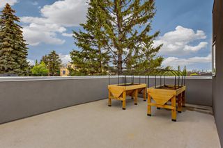 Photo 43: 3901 17 Street SW in Calgary: Altadore Detached for sale : MLS®# A2125860