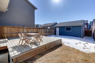 Photo 34: 161 Evansborough Way NW in Calgary: Evanston Detached for sale : MLS®# A2033757