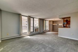 Photo 16: 5D 133 25 Avenue SW in Calgary: Mission Apartment for sale : MLS®# A2068257