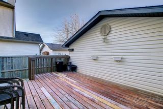 Photo 36: 47 Martha's Meadow Drive NE in Calgary: Martindale Detached for sale : MLS®# A1178725