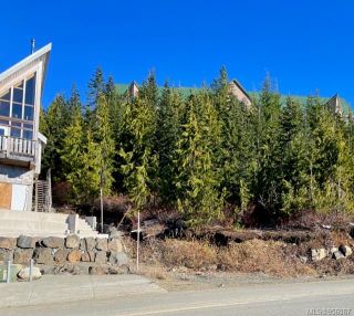 Photo 5: 990 Cruikshank Ridge in Courtenay: CV Mt Washington Land for sale (Comox Valley)  : MLS®# 956087