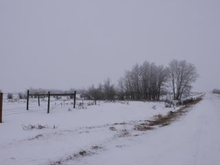 Photo 6: : Rural Beaver County Rural Land/Vacant Lot for sale : MLS®# E4272176