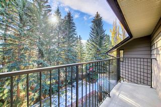 Photo 25: 95 Bel-Aire Place SW in Calgary: Bel-Aire Detached for sale : MLS®# A2017935