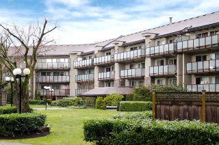 Photo 14: 121 4373 HALIFAX Street in Burnaby: Brentwood Park Condo for sale in "BRENT GARDENS" (Burnaby North)  : MLS®# R2128661