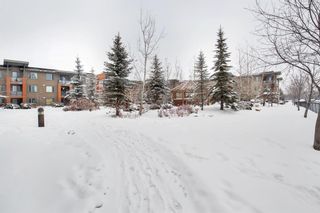 Photo 43: 339 2727 28 Avenue SE in Calgary: Dover Apartment for sale : MLS®# A2031901