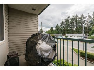 Photo 18: 213 2350 WESTERLY Street in Abbotsford: Abbotsford West Condo for sale in "Stonecroft Estates" : MLS®# R2383570