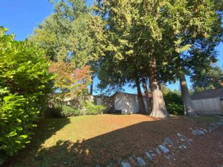 Photo 8: 14109 BLACKBURN Avenue: White Rock House for sale in "West White Rock" (South Surrey White Rock)  : MLS®# R2817558