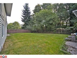Photo 10: 11310 Surrey Road in Surrey: House for sale : MLS®# F1224105