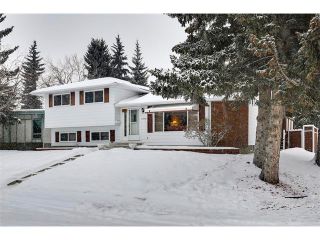 Photo 1: 2339 PALISADE Drive SW in Calgary: Palliser House for sale : MLS®# C4044298