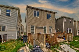 Photo 40: 95 Cityscape Street in Calgary: Cityscape Detached for sale : MLS®# A2053562