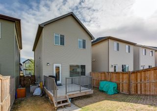 Photo 27: 222 Cranford Way SE in Calgary: Cranston Detached for sale : MLS®# A2045243