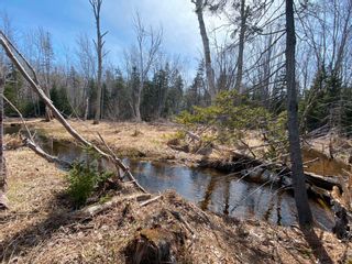 Photo 9: Lot 22 Lakeside Drive in Little Harbour: 108-Rural Pictou County Vacant Land for sale (Northern Region)  : MLS®# 202207910