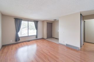 Photo 11: 52 Appletree Road in Calgary: Applewood Park Detached for sale : MLS®# A1216813
