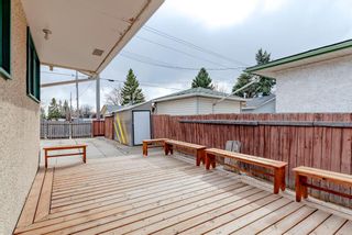 Photo 39: 6835 4 Avenue SE in Calgary: Penbrooke Meadows Detached for sale : MLS®# A1204447