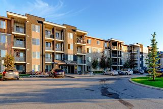 Photo 2: 119 7180 80 Avenue NE in Calgary: Saddle Ridge Apartment for sale : MLS®# A1238113
