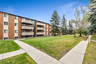 Photo 25: 212 11620 Elbow Drive SW in Calgary: Canyon Meadows Apartment for sale : MLS®# A2086620