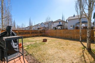 Photo 5: 112 Cranfield Park SE in Calgary: Cranston Detached for sale : MLS®# A1096222
