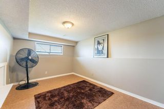Photo 17: 96 Appleside Close SE in Calgary: Applewood Park Detached for sale : MLS®# A1243999