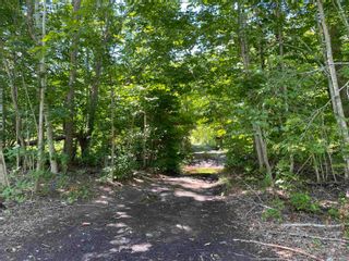 Photo 6: Lot E. Fraser Cross Road in Rocklin: 108-Rural Pictou County Vacant Land for sale (Northern Region)  : MLS®# 202315970