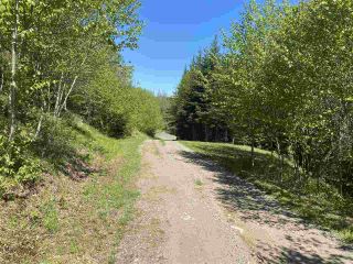Photo 28: 795 West Side Indian Harbour Lake Road in Indian Harbour: 303-Guysborough County Residential for sale (Highland Region)  : MLS®# 202225492