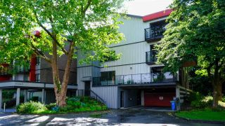 Photo 6: 305 11240 DANIELS Road in Richmond: East Cambie Condo for sale : MLS®# R2489010