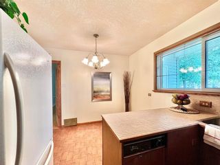 Photo 13: 228 5th Avenue Northeast in Dauphin: R30 Residential for sale (R30 - Dauphin and Area)  : MLS®# 202325894