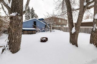 Photo 22: 3827 Centre B Street NW in Calgary: Highland Park Detached for sale : MLS®# A2117263