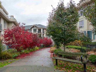 Photo 35: 203 255 ROSS Drive in New Westminster: Fraserview NW Condo for sale in "GROVE AT VICTORIA HILL" : MLS®# R2527121