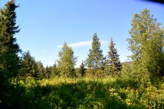 Photo 14: 1270 MORGAN Road in Smithers: Smithers - Rural Land for sale in "MORGAN MEADOWS" (Smithers And Area)  : MLS®# R2714118