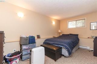 Photo 23: 1291 Persimmon Pl in VICTORIA: SE Maplewood House for sale (Saanich East)  : MLS®# 812177