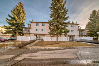 Photo 40: 15 3745 Fonda Way SE in Calgary: Forest Heights Row/Townhouse for sale : MLS®# A2115596