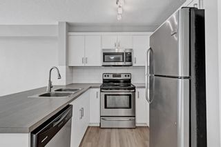 Photo 9: 301 130 Auburn Meadows View SE in Calgary: Auburn Bay Apartment for sale : MLS®# A2014821