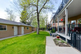 Photo 31: 2421 Sorrel Mews SW in Calgary: Garrison Woods Row/Townhouse for sale : MLS®# A1237191