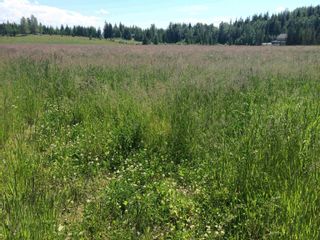 Photo 11: LOT 1 PEARCE Road in Quesnel: Bouchie Lake Land for sale : MLS®# R2850590