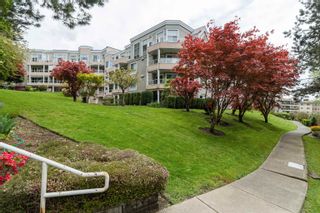 Photo 4: 315 11605 227 Street in Maple Ridge: East Central Condo for sale in "HILLCREST" : MLS®# R2704692