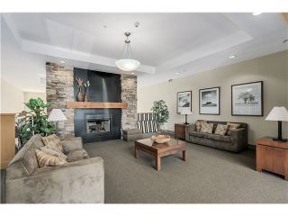 Photo 20: 207 2966 SILVER SPRINGS Boulevard in Coquitlam: Westwood Plateau Condo for sale in "SILVER SPRINGS" : MLS®# R2132101