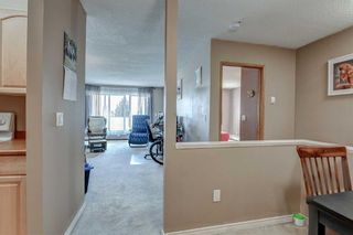 Photo 8: 419 333 Garry Crescent NE in Calgary: Greenview Apartment for sale : MLS®# A2070794
