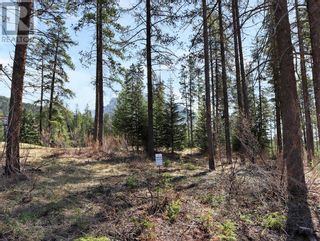 Photo 14: 412 Mountain Tranquility Place in Canmore: Vacant Land for sale : MLS®# A2049449