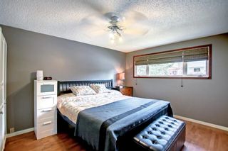 Photo 16: 5104 Norris Road NW in Calgary: North Haven Detached for sale : MLS®# A1224114