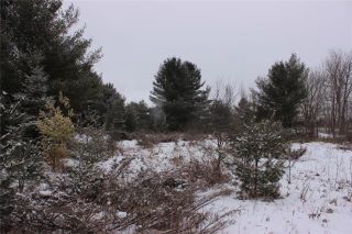 Photo 12: Lot 22 Maritime Road in Kawartha Lakes: Coboconk Property for sale : MLS®# X3413160