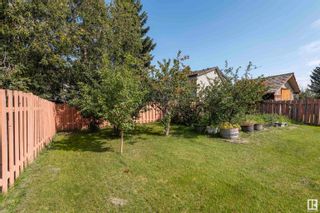 Photo 26: 18422 96A Avenue in Edmonton: Zone 20 House for sale : MLS®# E4358711