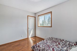 Photo 20: 1016 Southglen Drive SW in Calgary: Southwood Detached for sale : MLS®# A2048513