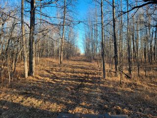 Photo 19: 51313 Rge Road 261: Rural Parkland County Rural Land/Vacant Lot for sale : MLS®# E4269500
