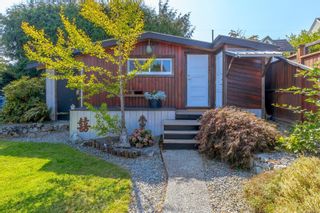 Photo 28: 341 Vincent Ave in Saanich: SW Gorge House for sale (Saanich West)  : MLS®# 914176